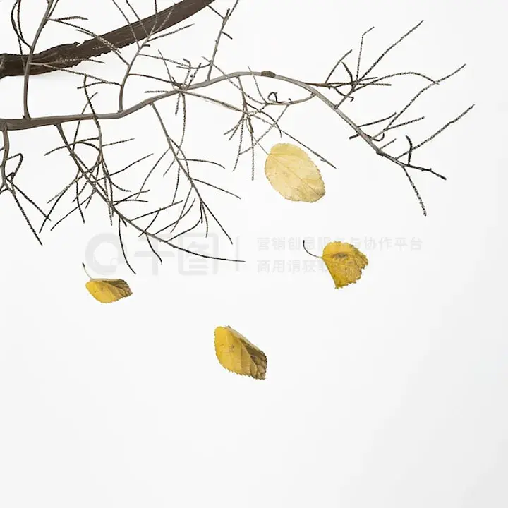 今夜尤物苏琪海报