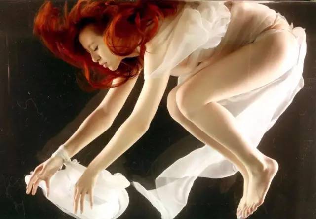 啄木鸟合集 不带任何“收集”目的鸟合地海报