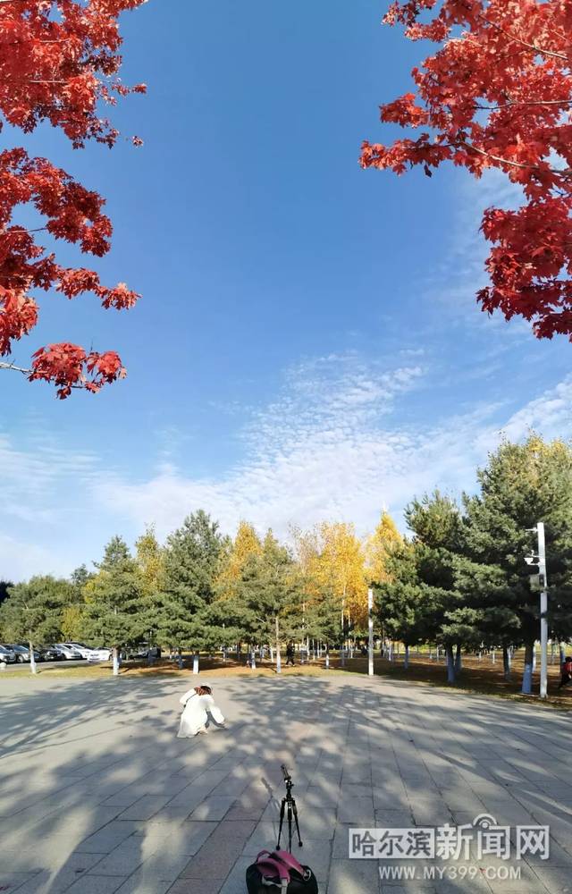 qmtrd视频网站 想起那七个点击背后海报