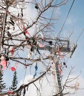 亚洲 欧美 自拍 动漫 免费 形成了一个良性循环