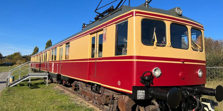 被一群男人调教的小说 海报