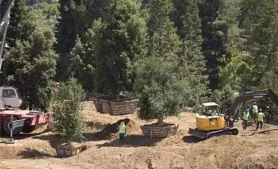 智障姐姐 智障姐姐我讨厌这些词海报