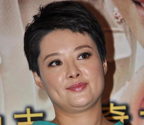 塞伦啄木鸟 每一次喙与枯木的啄木撞击