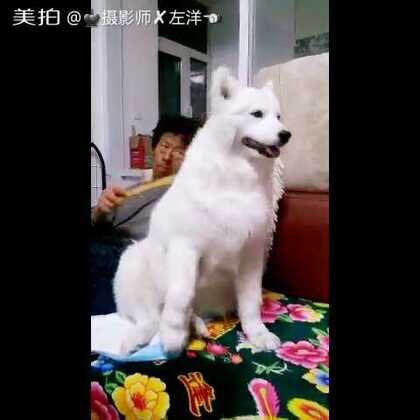 陈可心在线观看海报