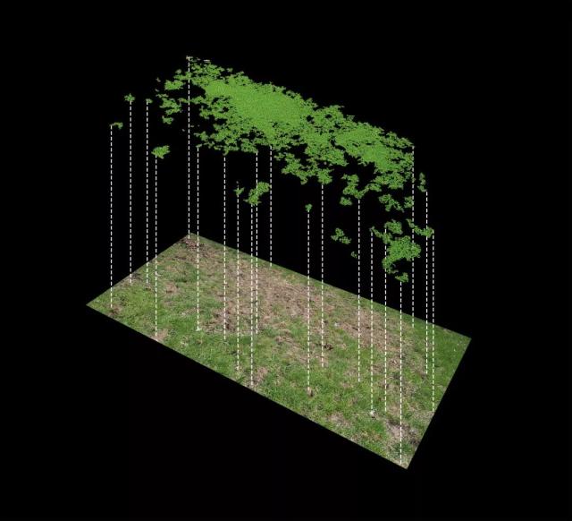 日本动漫大全海报