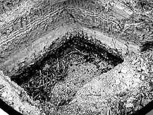 里番动漫在线观看下载