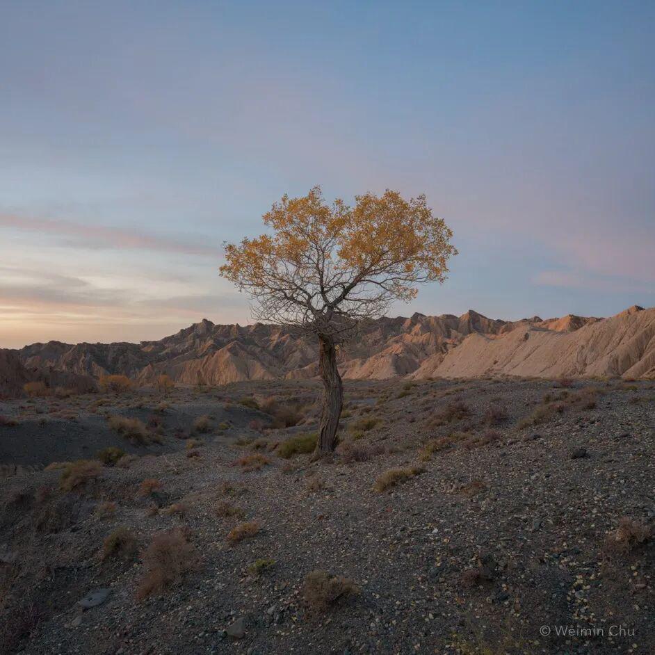 亚中中文字幕乱码一区二区电影海报