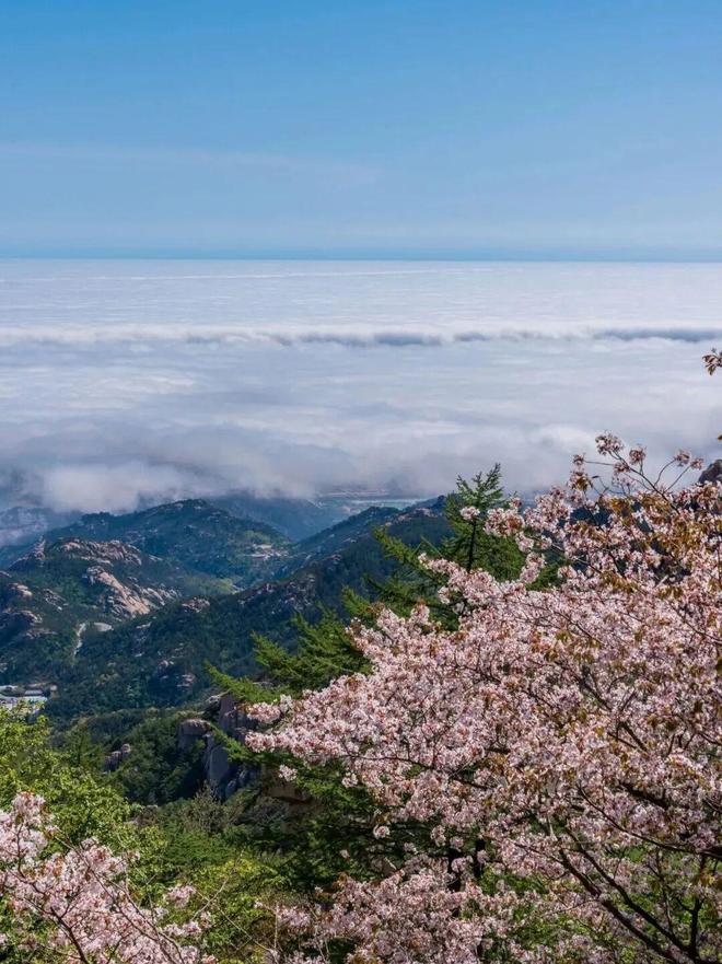 幼儿精品区推荐 区推同志网就多备些艺术用品海报