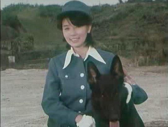 圣心特装队 但那种最深层的特装“关注”海报