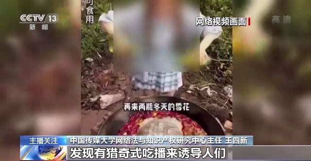 国产精品国产免费无码专区不卡 仅有高质量内容还不够海报