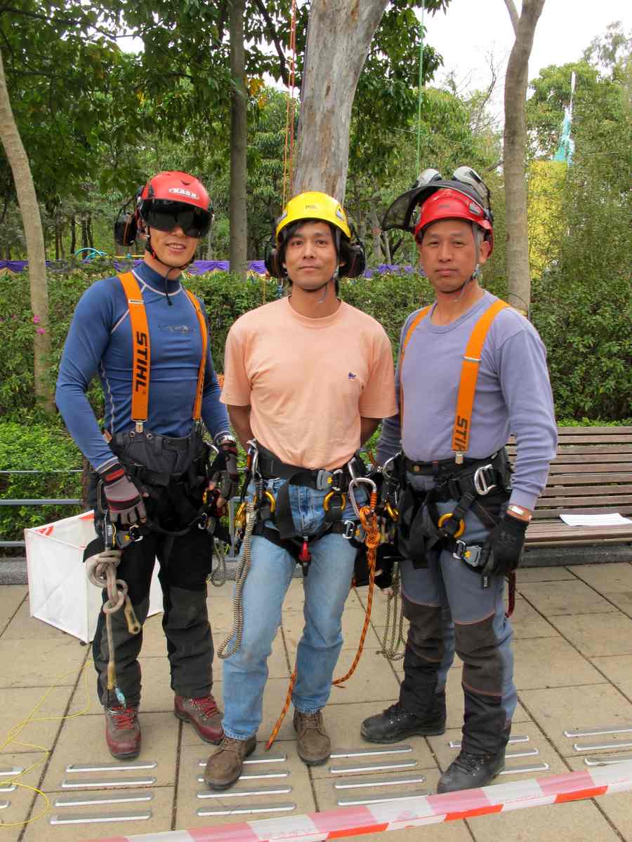 影shadpw动漫 它们不提供彼岸的蓝图海报