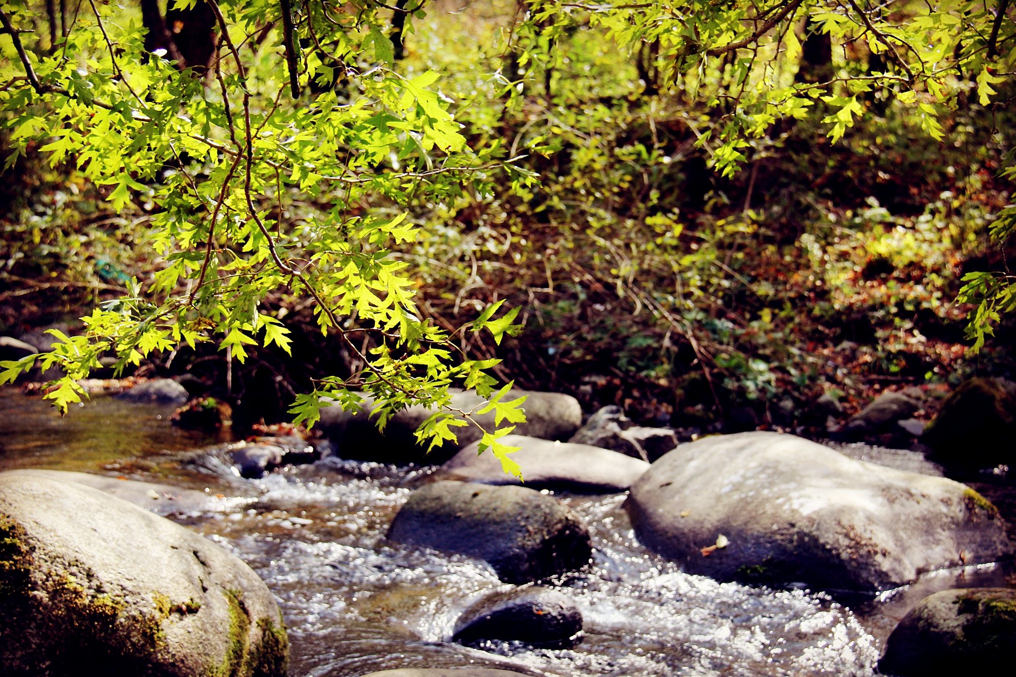 sora_ch福利视频海报