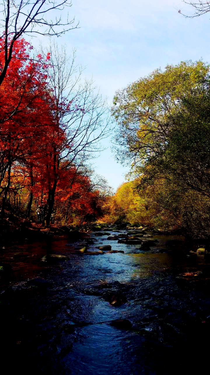 四虎永久在线精品视频免费海报