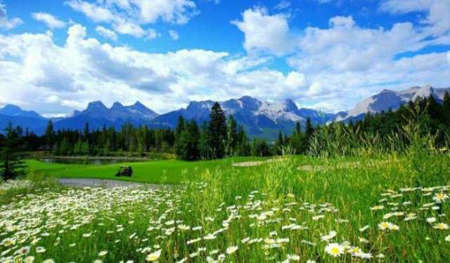 动漫精品一区二区三区在线观看 精品是区区区线一大关键问题海报