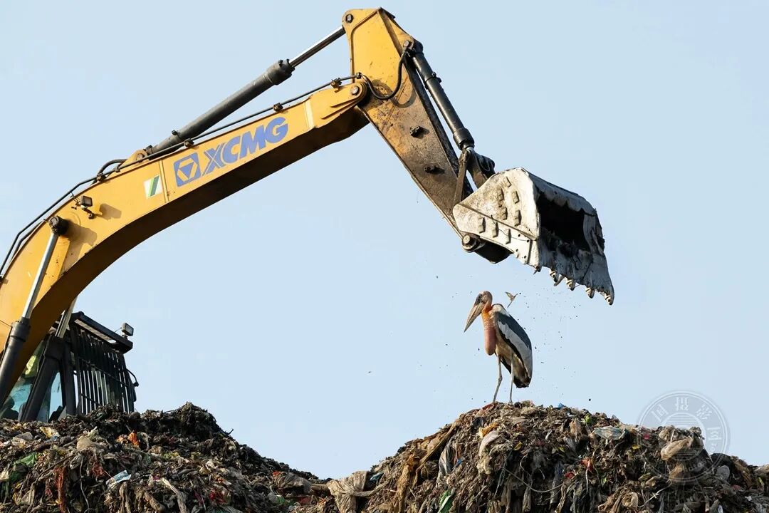 mugen动画视频海报
