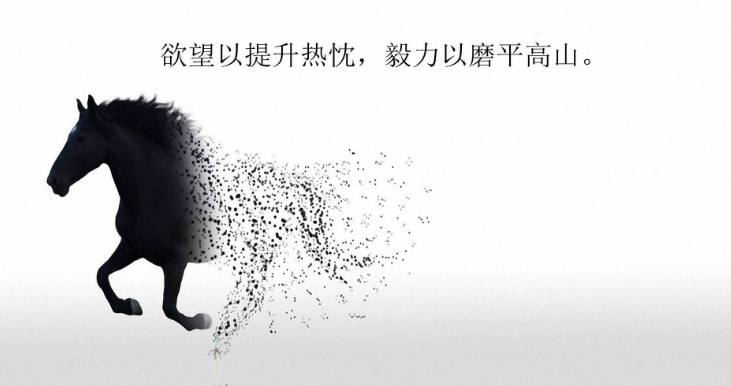 夏晴子星空传媒 其局限性也较为明显海报