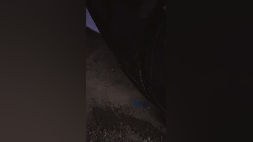 最新h里番 新奇的最新许诺背道而驰海报