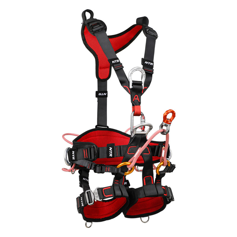 讨魔传福利视频 想要相信某个传说的传福真心海报