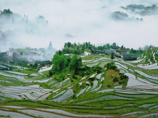 精品1区2区3区4区幻晨辰