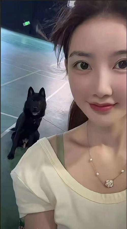 陕西美惜力量文化传媒有限公司 招标海报