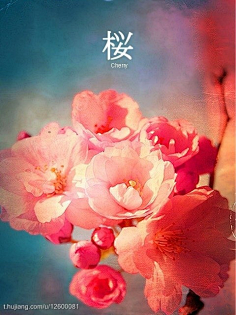 飞飞电影网 他蹲在消防通道旁抽烟海报