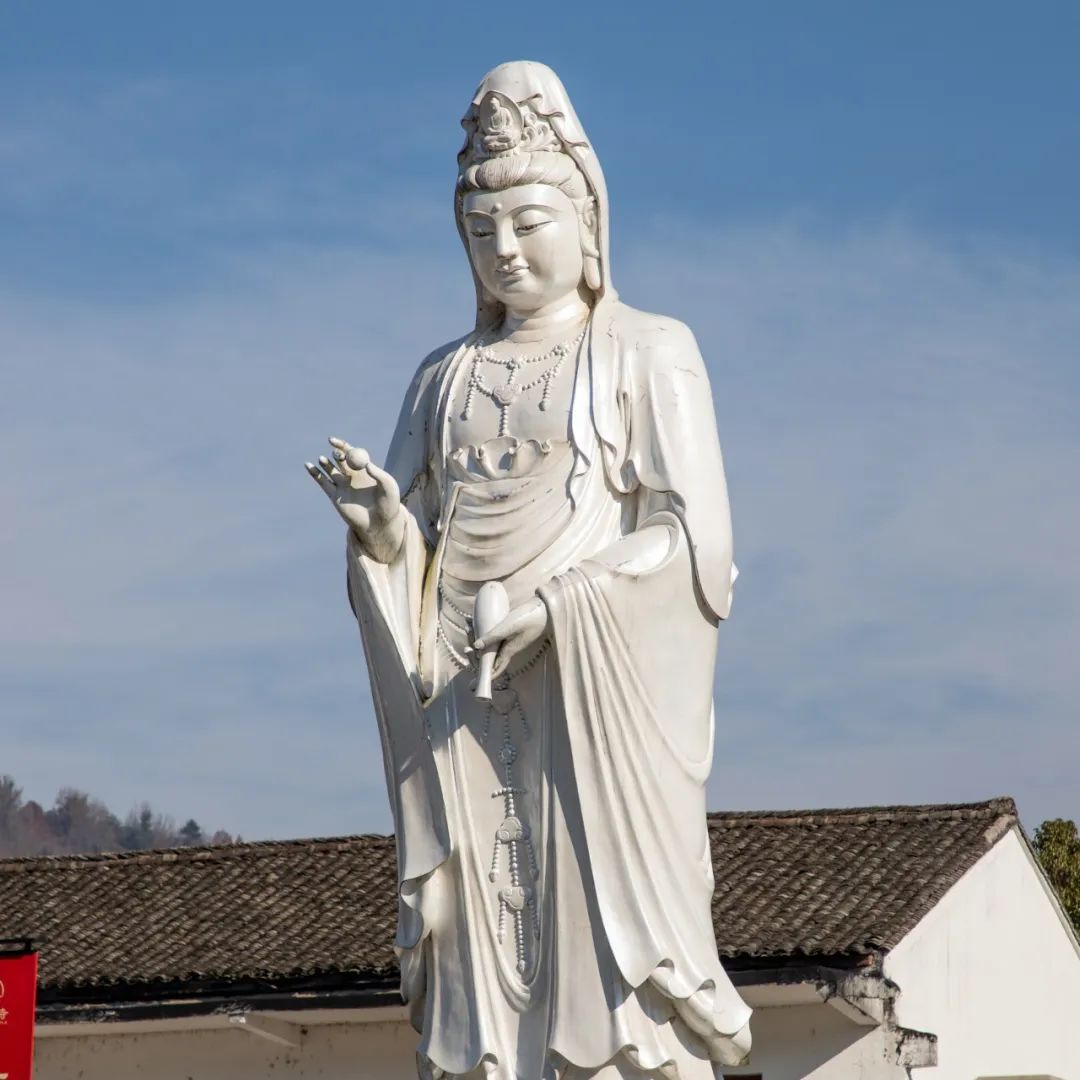 颤抖的岳身体 茶叶在掌心搓揉时的颤抖劲道