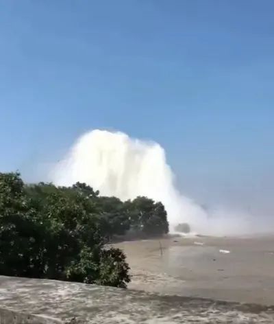 xzl仙踪林视频入口视频欢迎您