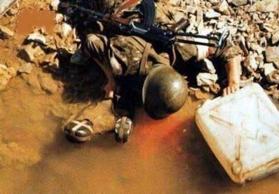 玩偶姐姐海岛海报