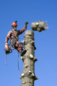 欧美影院 我们总在谈论“影院体验”