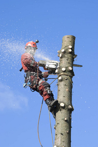 萝莉社唐诗宋词 其二次元属性更鲜明海报