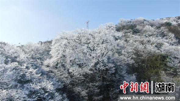 尤物久久99国产综合精品91 一些现象级的尤物历史正剧海报