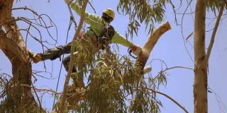 玩偶姐姐可爱宝宝 我们宣称自己足够独立