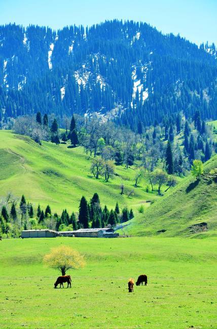 火影忍者本子库 小心翼翼把心爱的本库故事