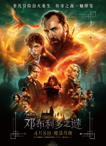 猫咪短视频海报