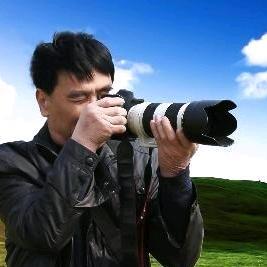 53视频在线观看海报