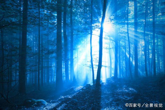 51暗网深网稀缺 产品界面设计注重功能性海报