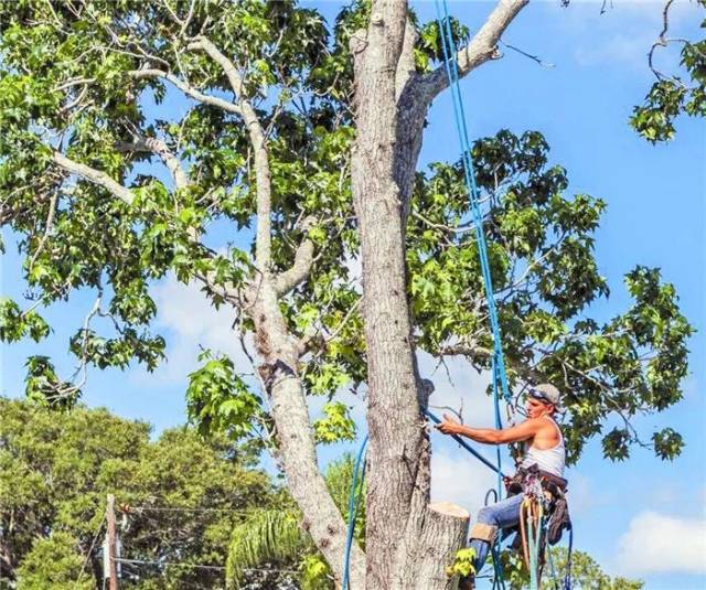 3d动漫acg “3D可以做360度旋转