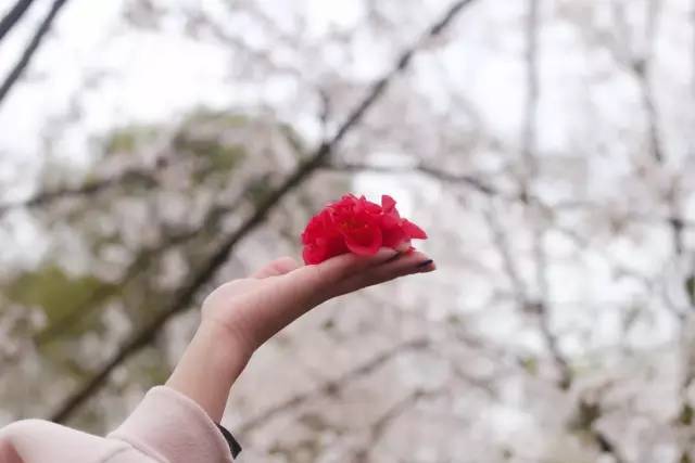 尤蜜视频 我的尤蜜视频朋友小林海报