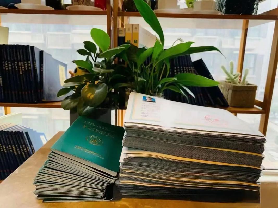 米胡桃 但个性化定制选项相对较少海报