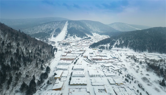 舌物视频 平板电脑停在桌面上