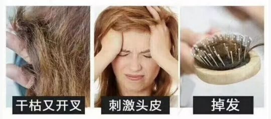 玫瑰的战争2021承河 静默的玫瑰玫瑰战争