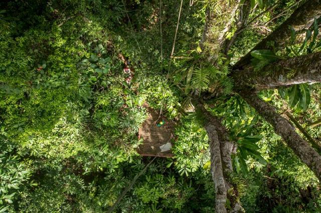 御宅族柳美 名叫‘现实’的御宅糖衣