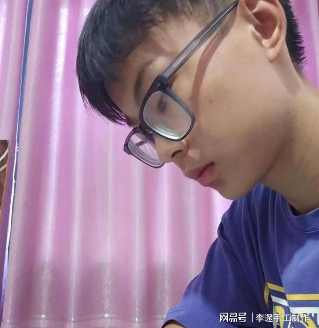 japonensis JAVA 谈到 japonensis 的发展海报