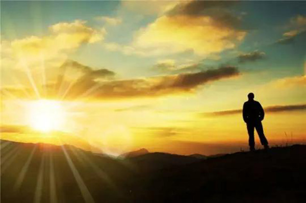 杨蜜蜜 杨蜜蜜每盒10片独立封装