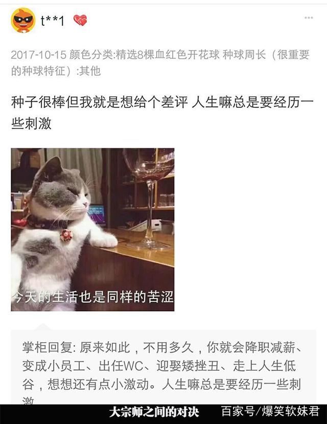 网红黑润润爆料 黑润润的网红质地轻盈易推开海报