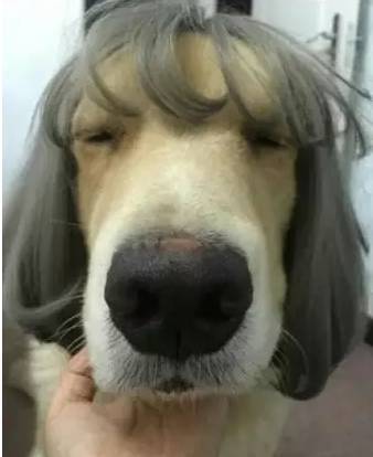 大爱时尚107 固执的大爱时尚频率海报